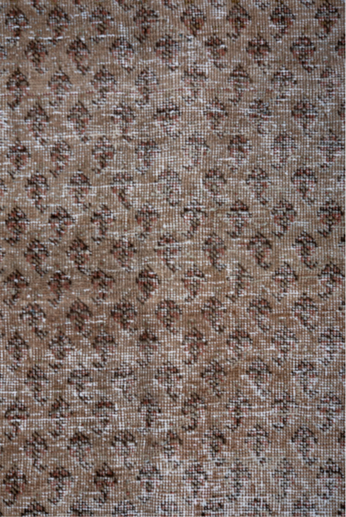 Antique Saraband Area Rug (5' x 8')